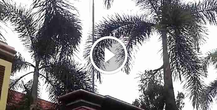 Miris..Bendera Merah Putih Kusam dan Robek Berkibar di Tiang SMPN 2&nbsp;Sumenep