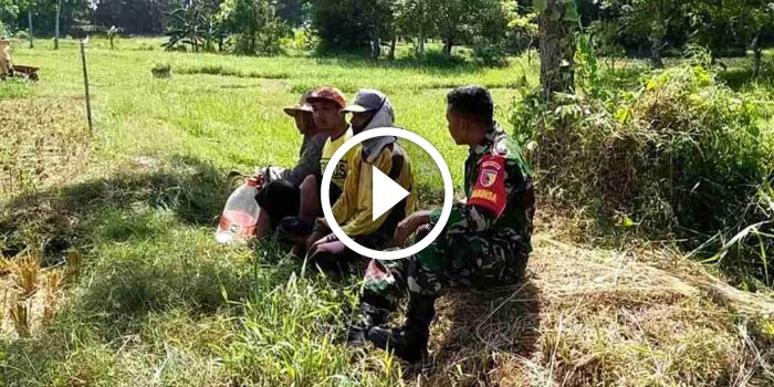 Babinsa Koramil 0826-02 Tlanakan, Komsos dengan Petani Desa&nbsp;Dabuan