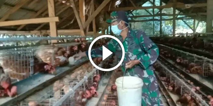 Babinsa Koramil 0826-08 Palengaan Komsos dengan Peternak Ayam Petelur di Desa Poto’an&nbsp;Daya